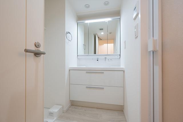 六本木デュープレックスエムズ5階 洗面所