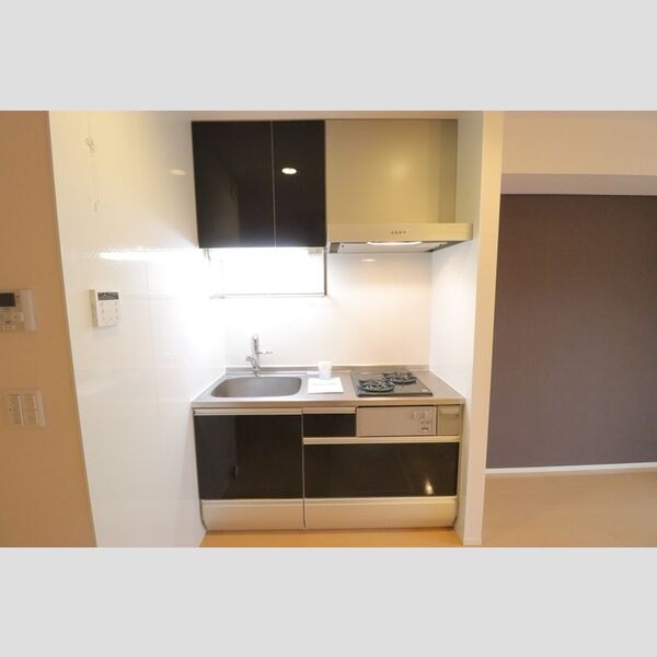 ルーヴル三橋　B102号室 キッチン