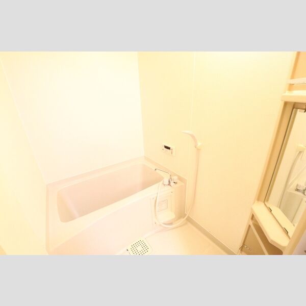 ハイネス大嶋102号室 バスルーム