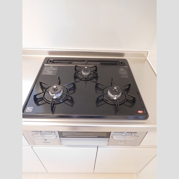 フィオーレ/ルミエール　フィオーレ201号室 キッチン