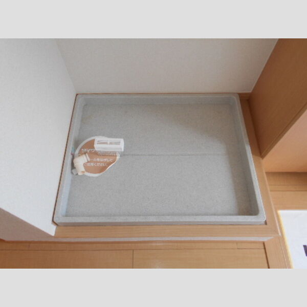 プルミエコート208号室 室内洗濯機置場