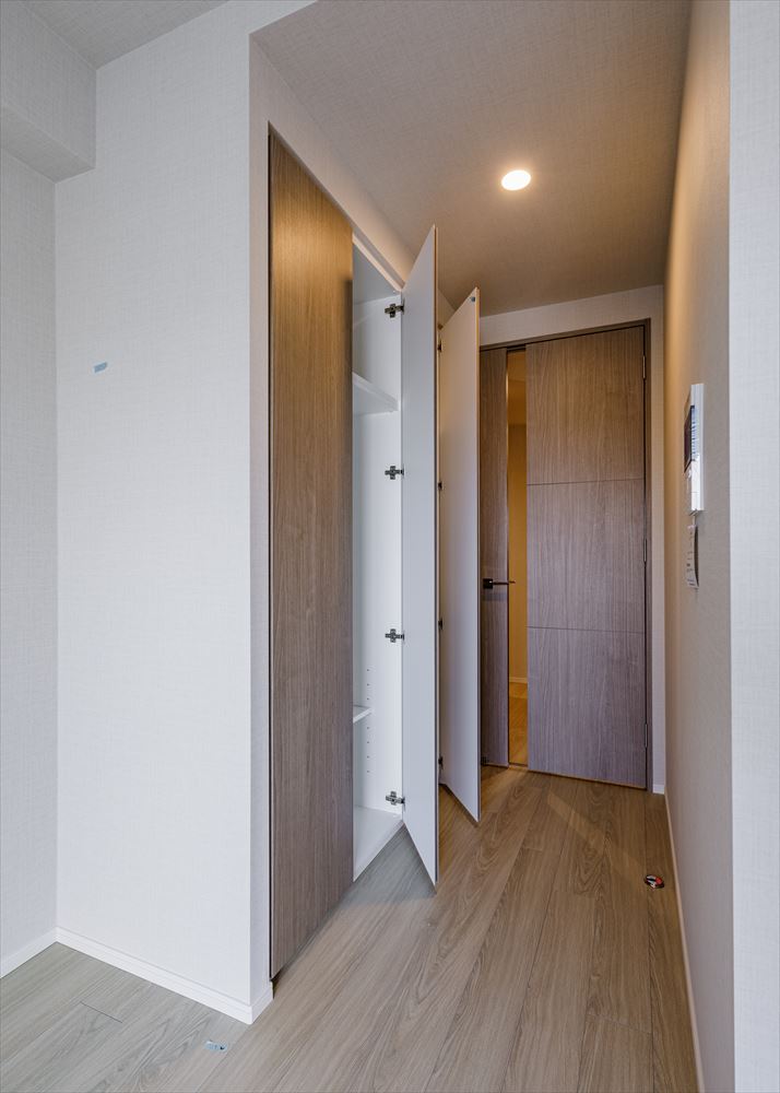 DIPS東十条駅前PREMIUM1201号室 収納