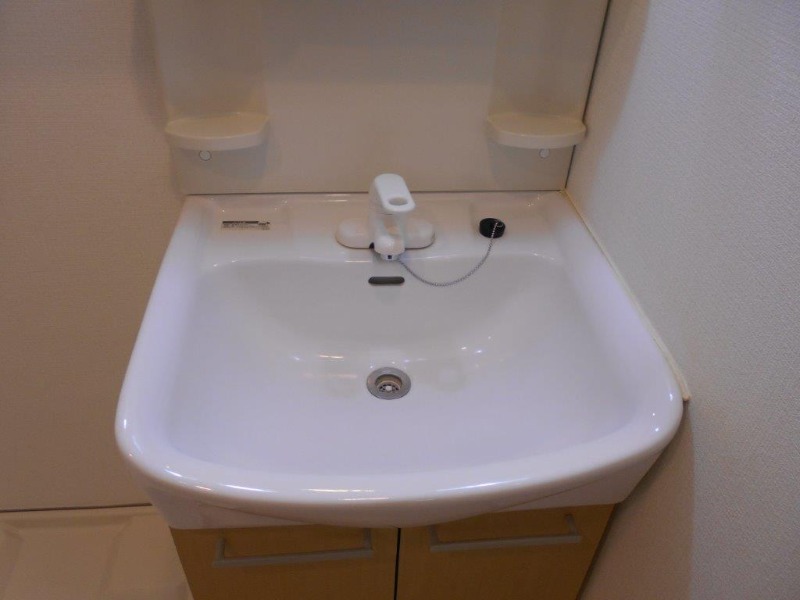 ノベル駒込2階 洗面
