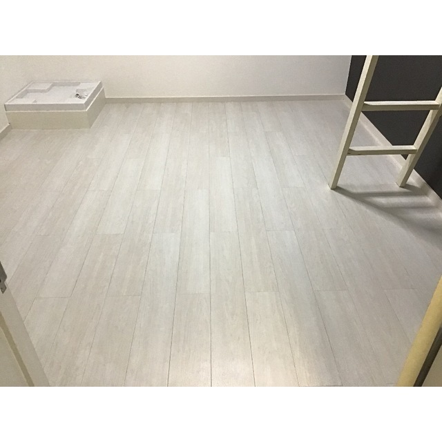 ミモザ213号室 リビング