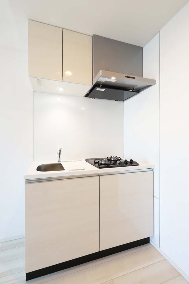 ハーモニーレジデンス巣鴨山手インサイド10階 内観