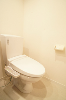 リブリ・アクシオン トイレ