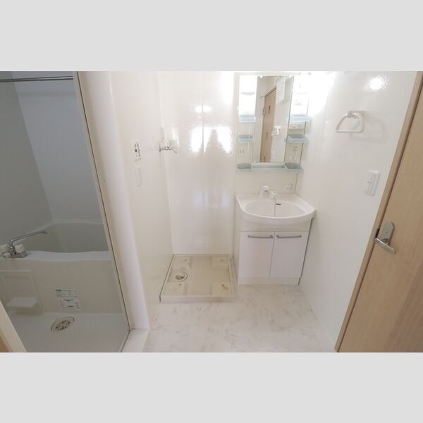 エバーグリーンガーデン　A202号室 洗面所