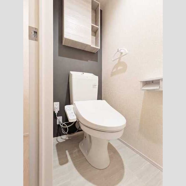 Noble raffiner上小町203号室 トイレ