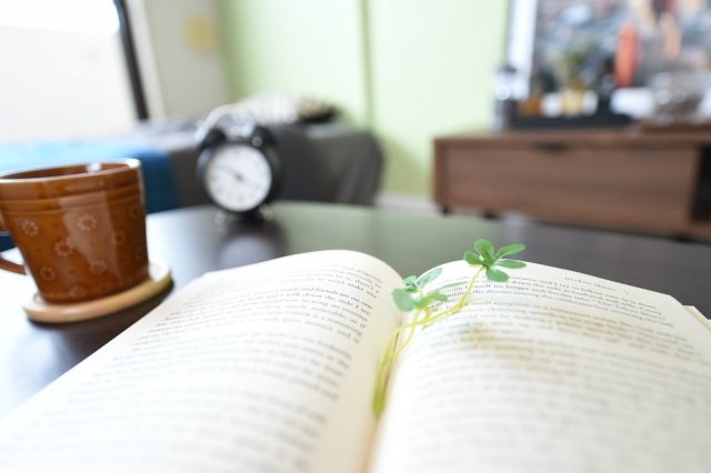 サンテミリオン上井草405号室 同建物別部屋の参考画像