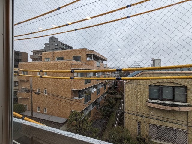 ミオテゾーロ哲学堂カーザ0203号室 同建物別部屋の参考画像