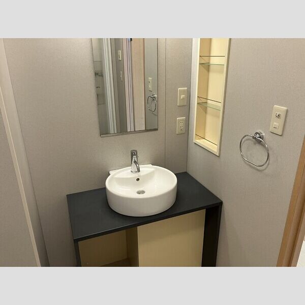 ガーデンヒルズ　A201号室 洗面台