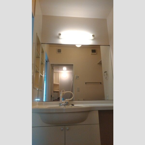 グランモア柳川AB　B101号室 洗面所