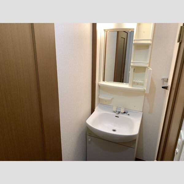 メゾンプルミエール 洗髪洗面化粧台