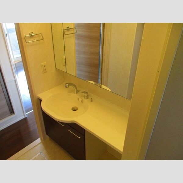 グランツ・シャルロッテ302号室 洗髪洗面化粧台