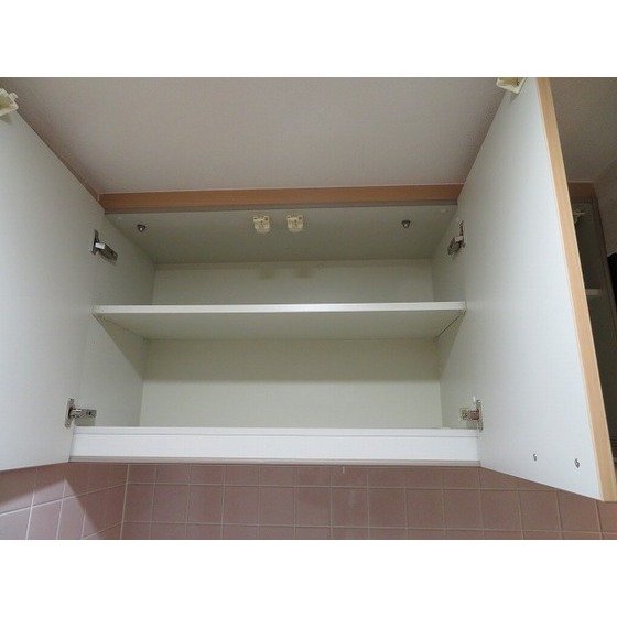 サングランパ0403号室 キッチン上収納