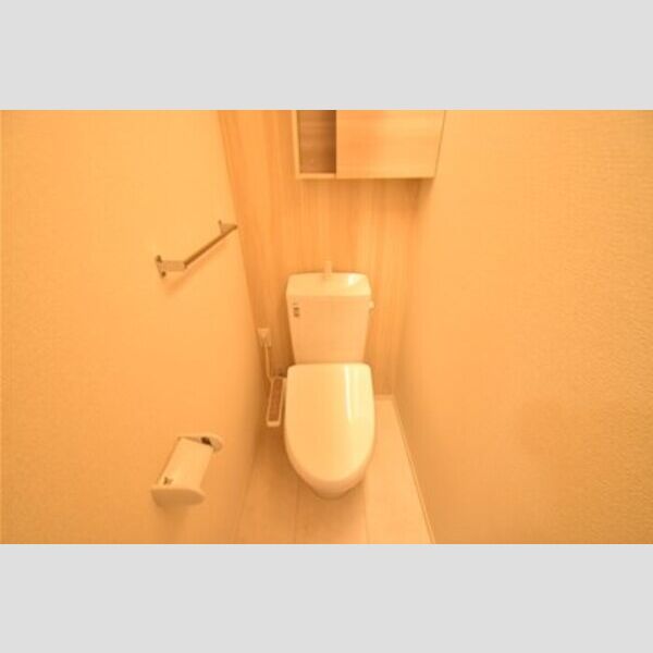 ロイヤルヒルズ303号室 トイレ