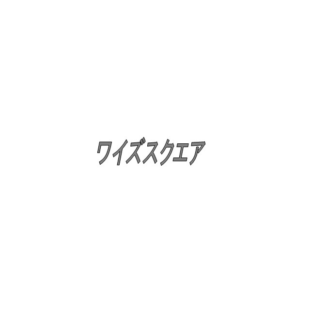 ワイズスクエアF号室 部屋その他