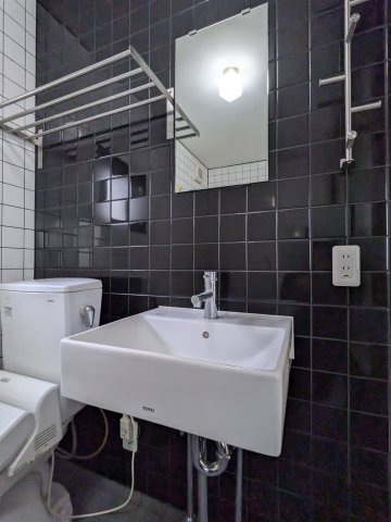 桜ヒルズ板橋201号室 洗面