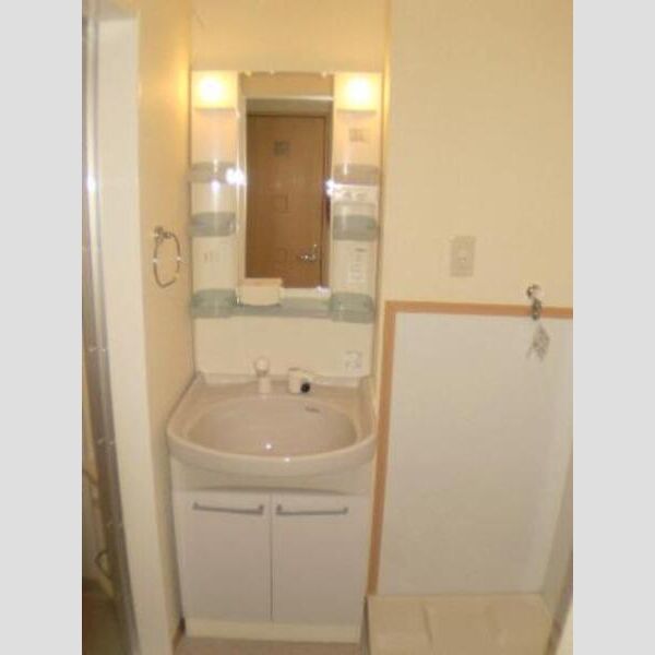 プリムヴェールJ308号室 洗面室