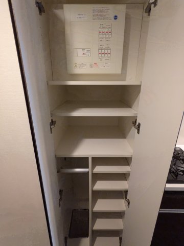 ケーディーエックスレジデンス豊洲416号室 収納