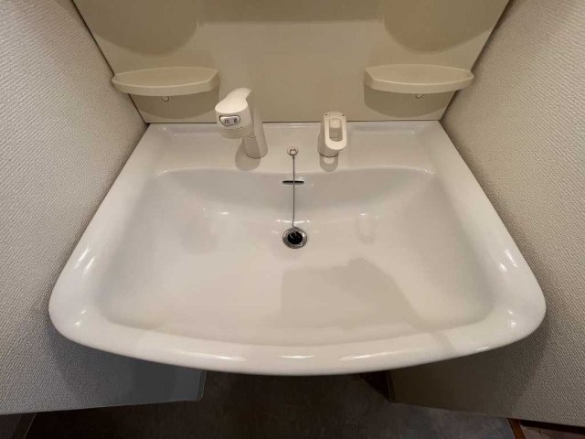 ユナイテッドグロー高田馬場 洗面