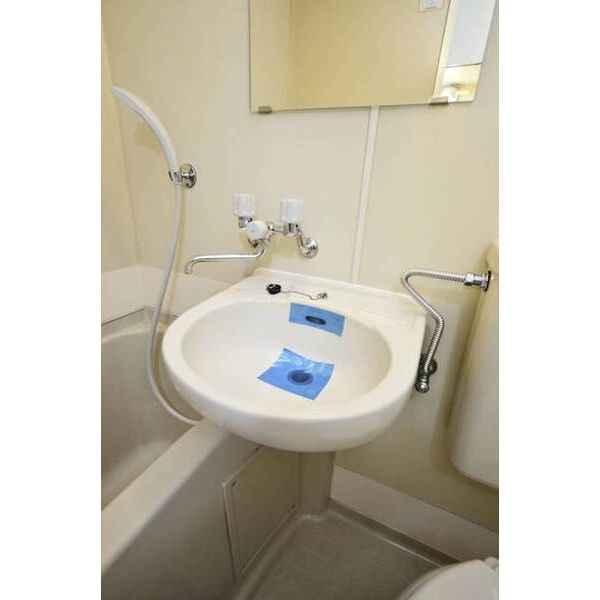 メゾン・ド・セレナード0404号室 洗面