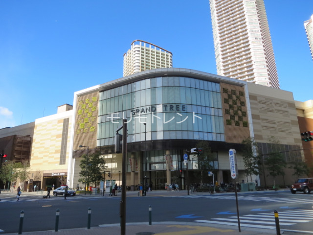 イプセ武蔵小杉 GANDOTREE武蔵小杉