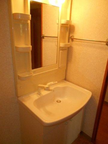ルミナス青葉203号室 洗面