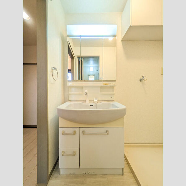 イーストハウス 洗髪洗面化粧台