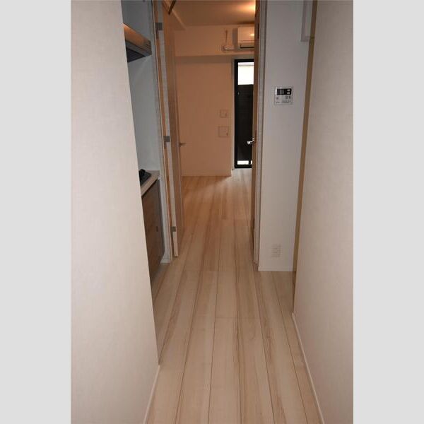 S-RESIDENCE新御徒町East101号室 玄関