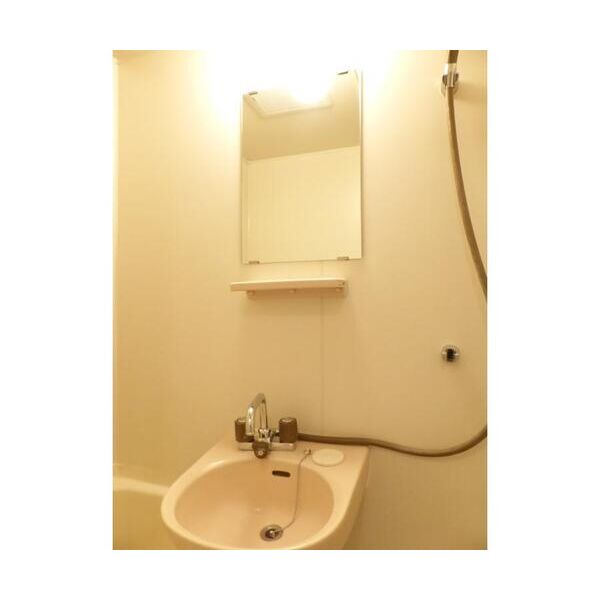 エステートピア林間II 洗面