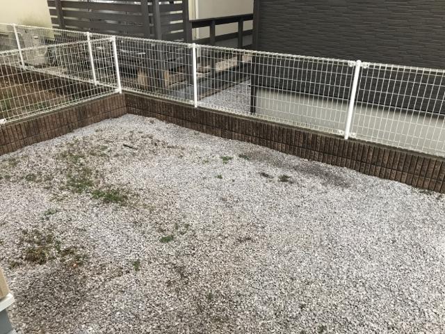 カームオータム南古谷103号室 庭