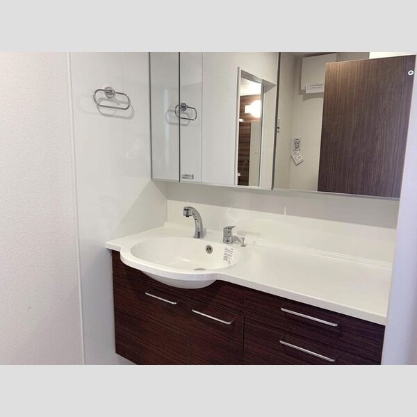 ロイジェントパークス草加手代　C203号室 洗髪洗面化粧台