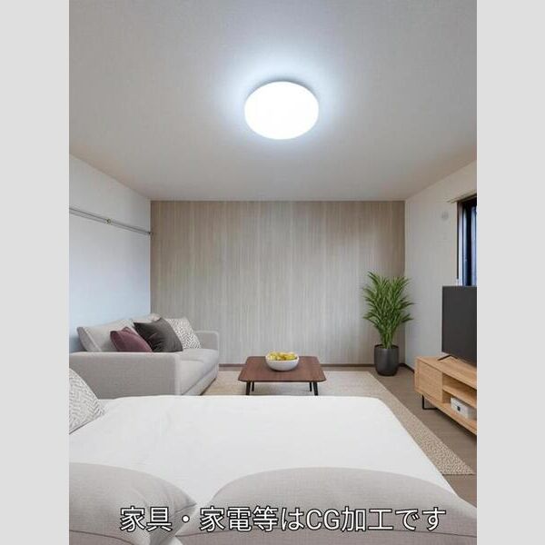 クレセント　B202号室 洋室