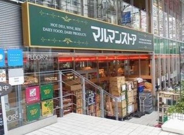 グリーンフラッツ0203号室 【デパート】マルマンストア南新宿店まで184ｍ