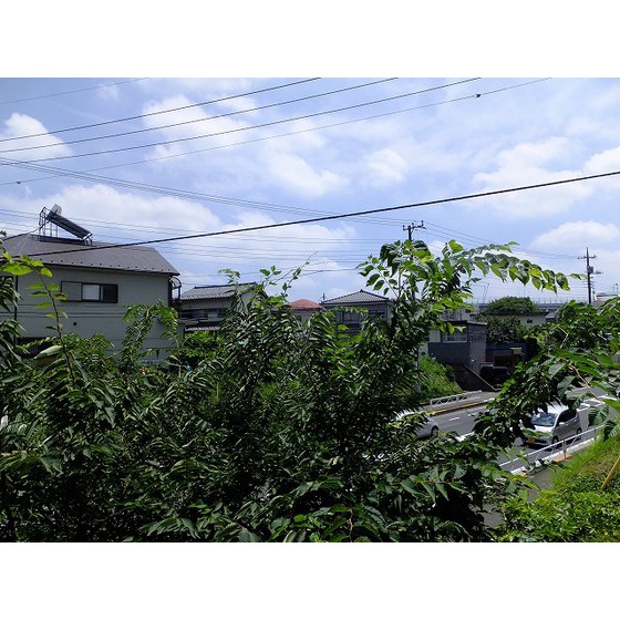 キャッスル・日野台0102号室 眺望