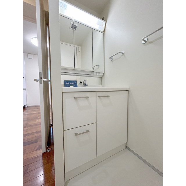 ヒルズ柿の木坂 独立洗面台