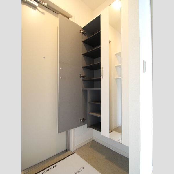 ミールレ野川Ⅱ シューズボックス