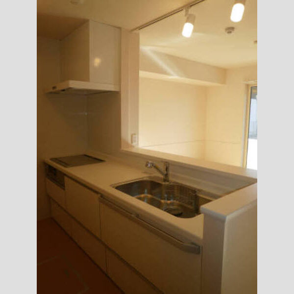 ポッソ ヴィラージュ　Ⅱ302号室 キッチン