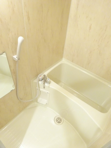 ステージグランデ田園調布アジールコート111号室 お風呂