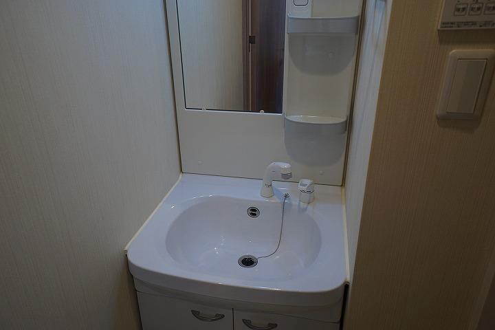 N-Stage鳩ヶ谷4階 洗面所