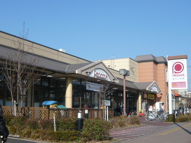 マーヴェラス立川 【デパート】ピーコックストア玉川上水店まで659ｍ