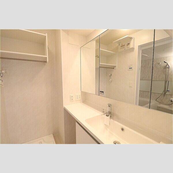 RISE(ライズ)303号室 洗面台