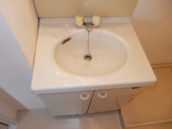 ファミーラシオン202号室 洗面