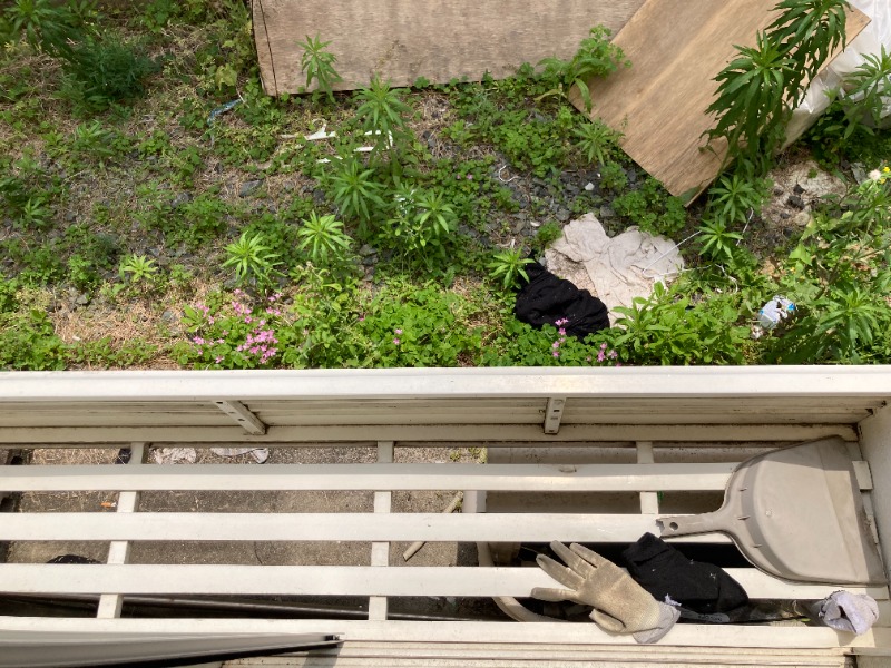 プラザ阿佐ヶ谷B棟 ※別部屋写真参照