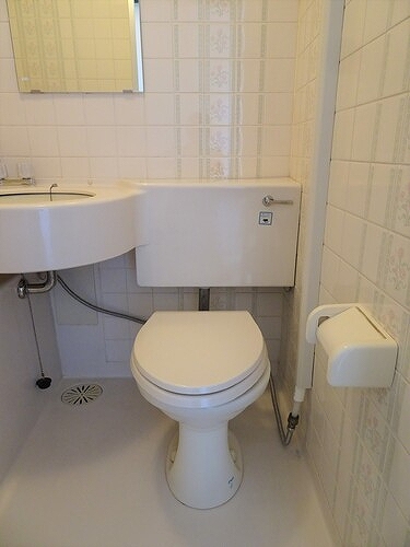 ライオンズマンション麻布 トイレ　※2023年1月撮影