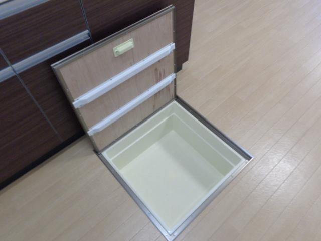 グランドゥール・メイ00102号室 床下収納