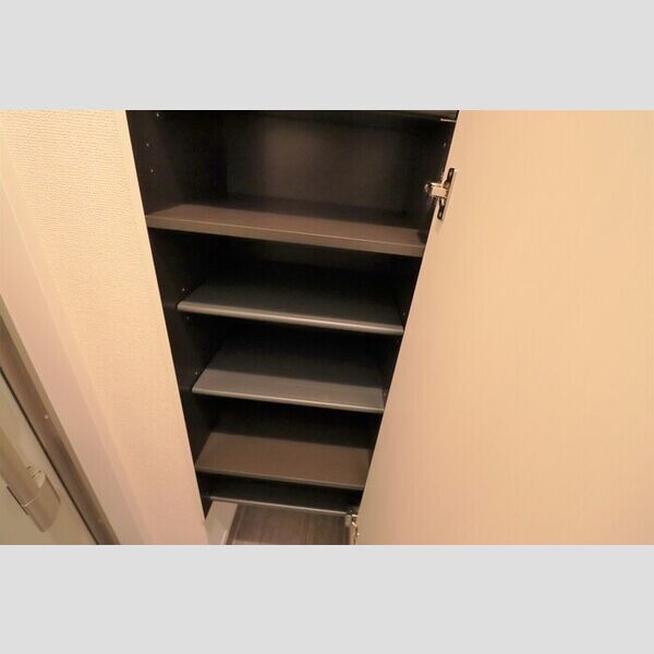 チェリーハイム　Ⅴ シューズボックス(トールタイプ)