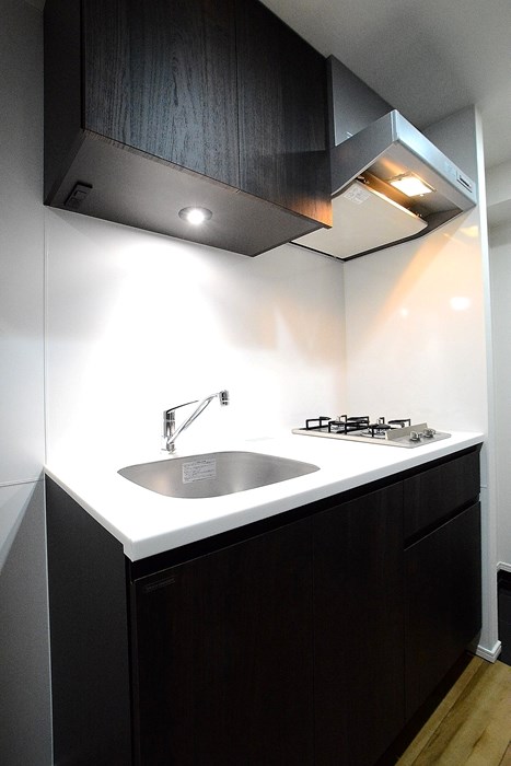 ステージグランデ向島6階 ※カラータイプは白です