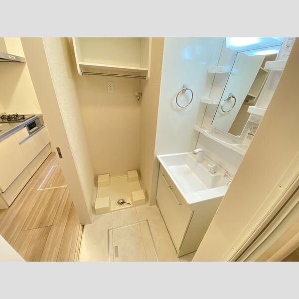 オリヴィア山手106号室 洗面